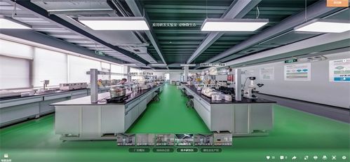 工廠培訓與遠程帶看 VR數(shù)字工廠為企業(yè)打開新局面